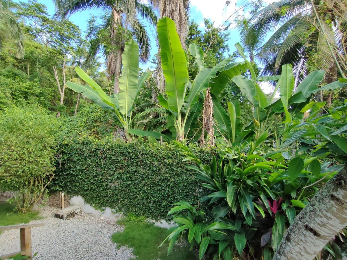 House Jardin Del Caribe Aparthotel ลาสแตร์เรนาส ภายนอก รูปภาพ