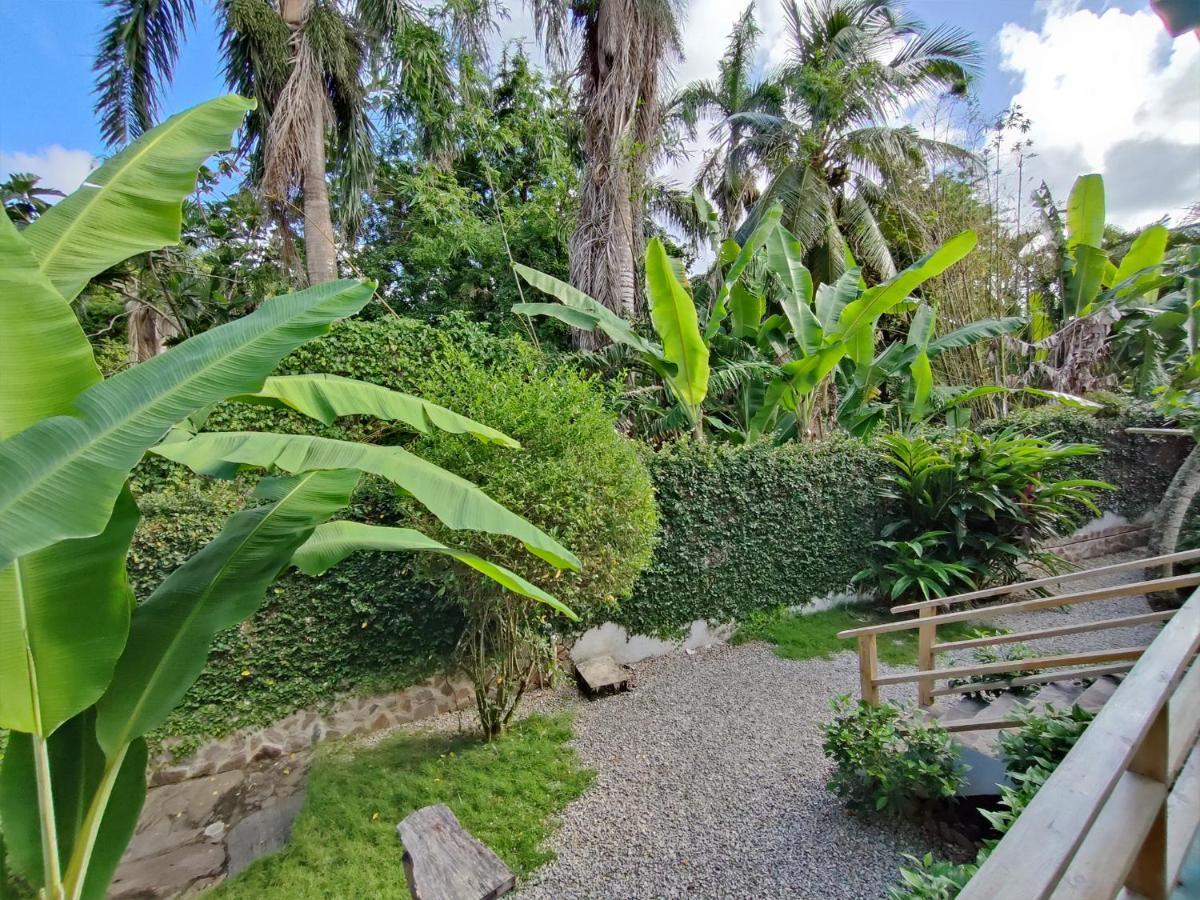 House Jardin Del Caribe Aparthotel ลาสแตร์เรนาส ภายนอก รูปภาพ